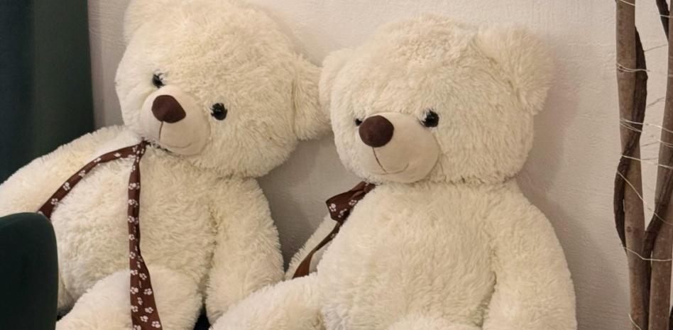 Usan peluches para educar sobre los abusos sexuales