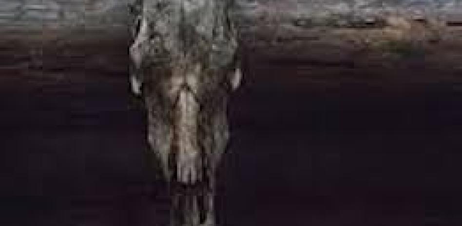 “Matar a un hombre”: la cruel ironía del machismo y la pobreza