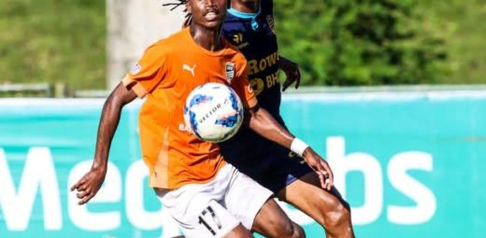 Delfines y Cibao cierran Liguilla LDF con triunfos