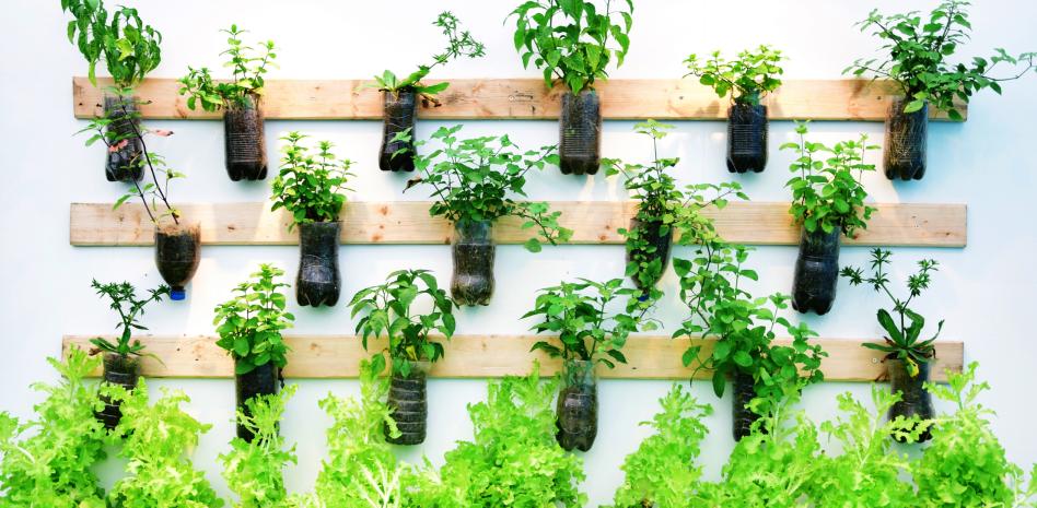Ideas con tubos, potes y botellas
