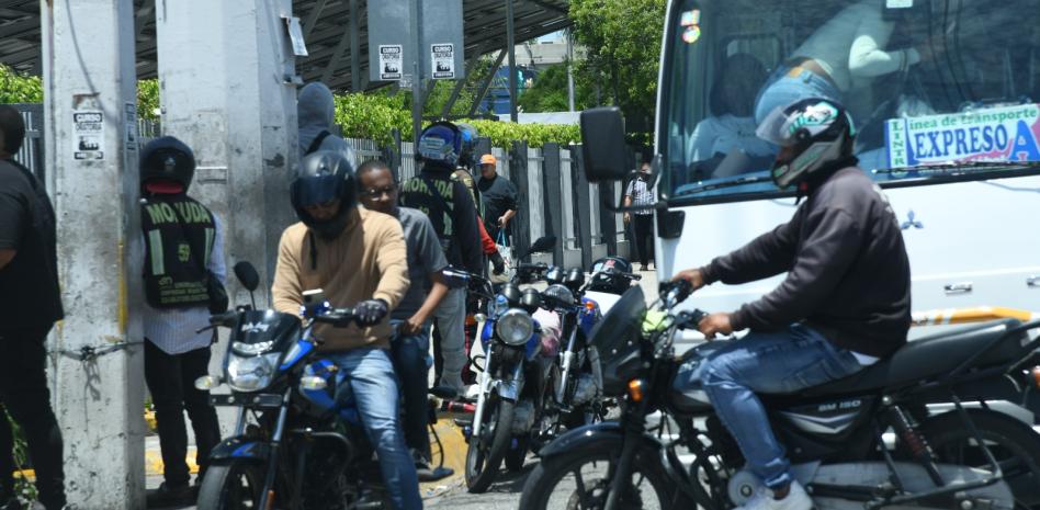 Regulaciones de montoconchos: la deuda pendiente que aún evaden las autoridades
