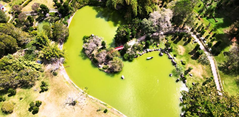 Entrada gratuita y caminata ecológica este 5 de junio en el Jardín Botánico Nacional