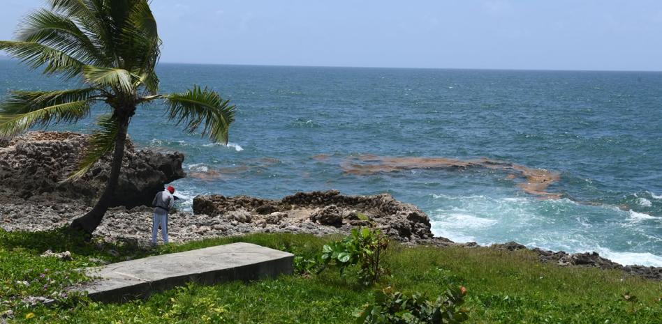 Rasgos de sargazo comienzan a observarse en aguas del Malecón de Santo Domingo