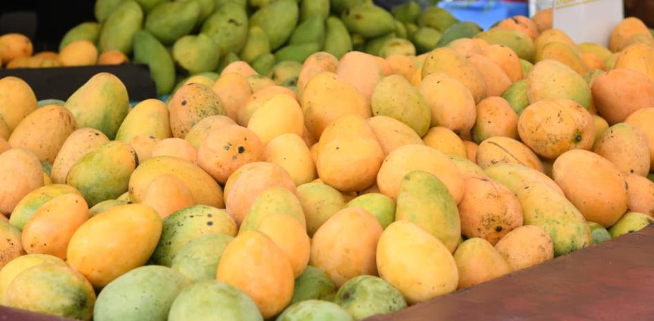 Mango Mingolo lidera la Expo Mango en Baní por su éxito comercial