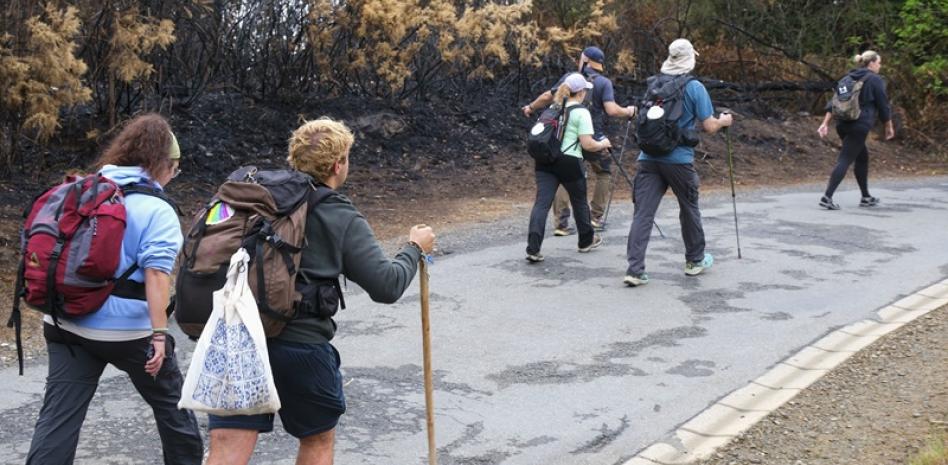 Caminar al aire libre ¡sin pantallas! para cuidar la vista