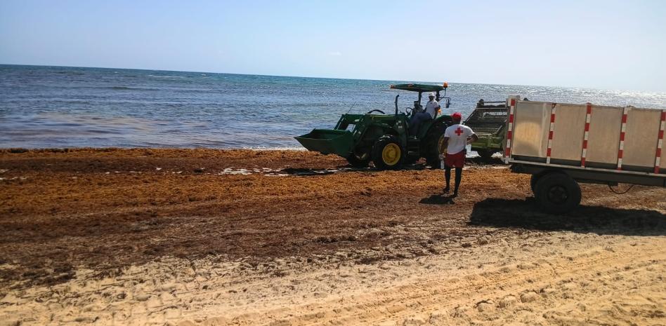 Sargazo desmotiva a turistas en las playas de la región Este