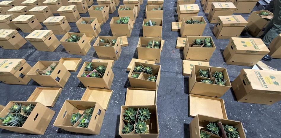 Ocupan cocaína en cajas de piña que iban a Afganistán con escala en España