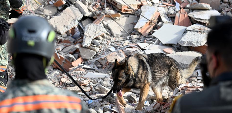 Oposición de Venezuela cree que el Estado no estaba preparado para responder a terremotos