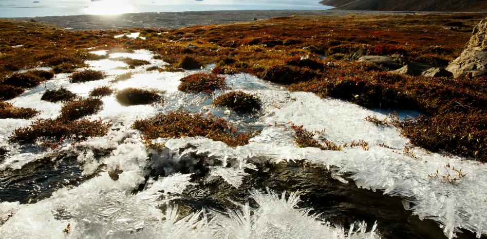 Los “archivos naturales” que pueden alimentar al mundo futuro, víctimas también del clima