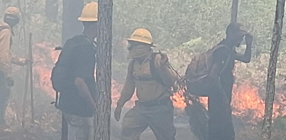 Brigadas controlan incendio forestal en Sierra de Bahoruco