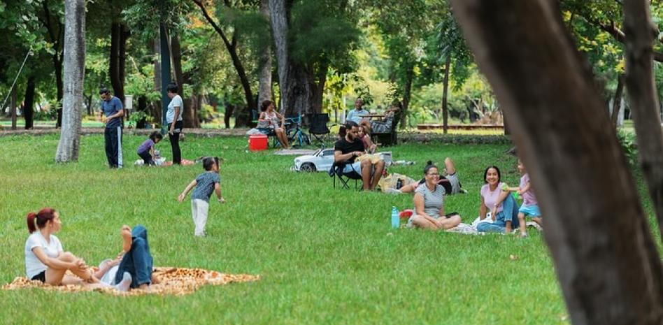 ¿Sabes cuales son los lugares para hacer picnics en la ciudad y en zonas aledañas?