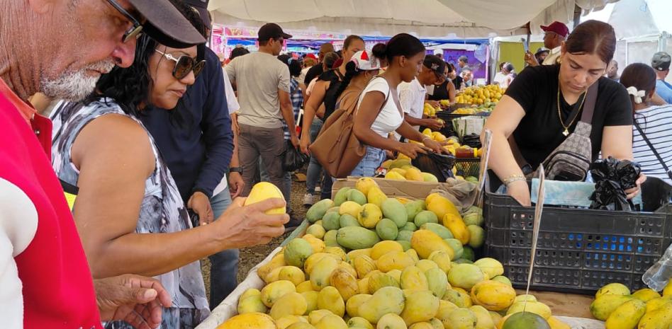 Productores de Baní perderán unos 90 millones de pesos por veto de EE.UU. al mango