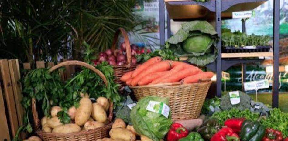 Constanza va en picada por enormes importaciones que aplastan a la agricutlrura