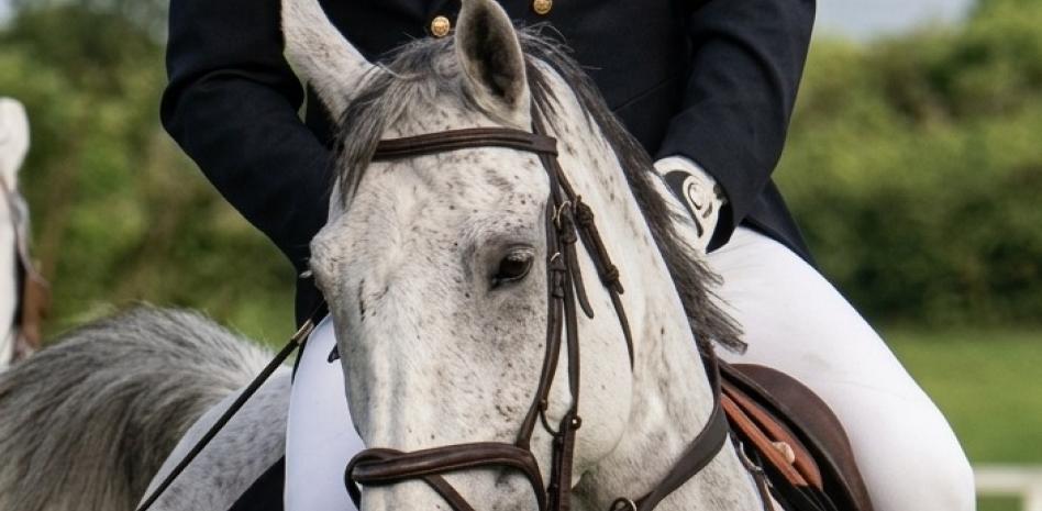 Tras cinco décadas, Martín Haché sigue a caballo