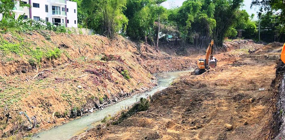 Ambientalistas piden preservar la cobertura boscosa en construcción de parque en Santiago