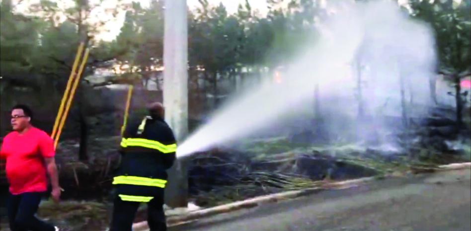 Incendio afecta miles de árboles en zona montañosa de San José de las Matas