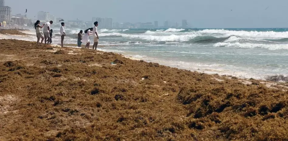 México invertirá US$115 millones para frenar el avance del sargazo en el Caribe
