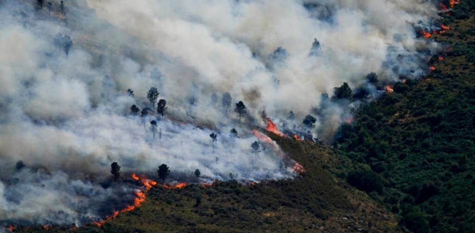 Los incendios en España han afectado a zonas protegidas que tardarán años en recuperarse