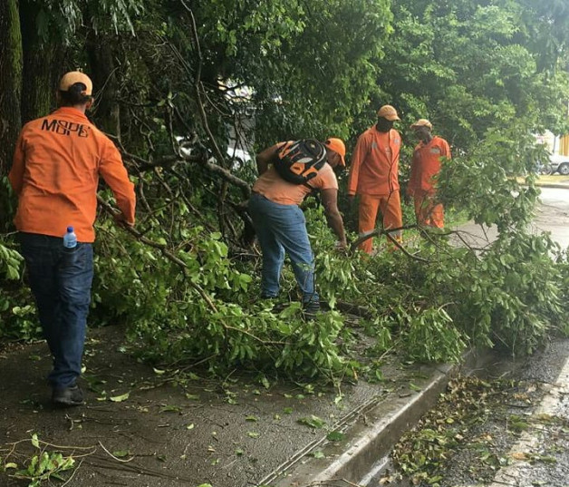 Bloqueo. En Canastica, San Cristóbal, los vientos echaron abajo un árbol que bloqueó una calle, lo que obligó a los conductores a devolverse y tomar otra ruta para salir.