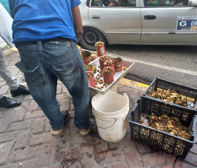 Vendedor ambulante en las calles de Santiago