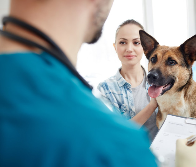 La tarea de dar bienestar a las mascotas es una responsabilidad de todos.