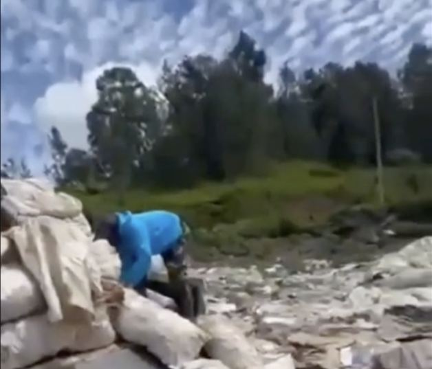 Productores muestran los sacos de zanahoria.