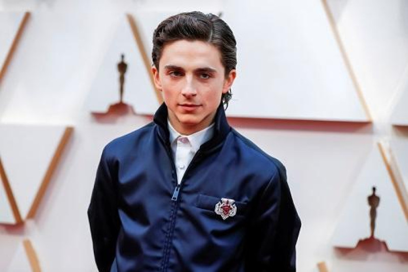 5.-Timothée Chalamet en Hollywood en 2020. EFE/EPA/DAVID SWANSON