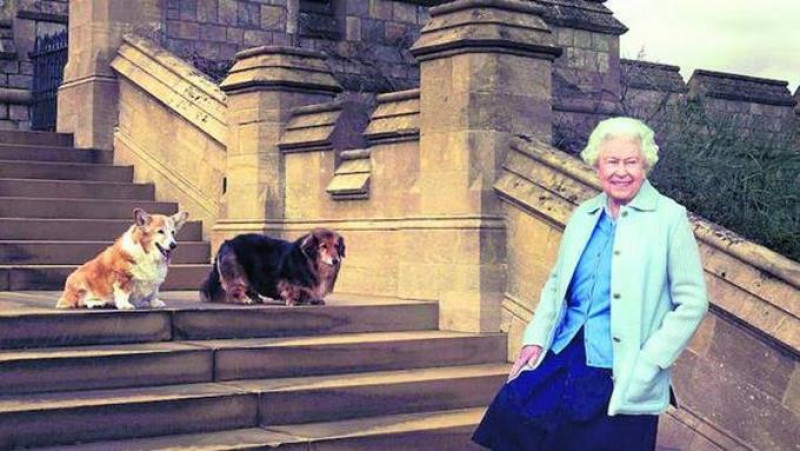 Isabel II y los corgis, una relación "apasionada" de 90 años en fotografías