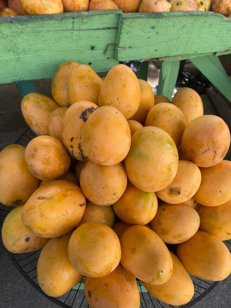 Mangos Mingolos