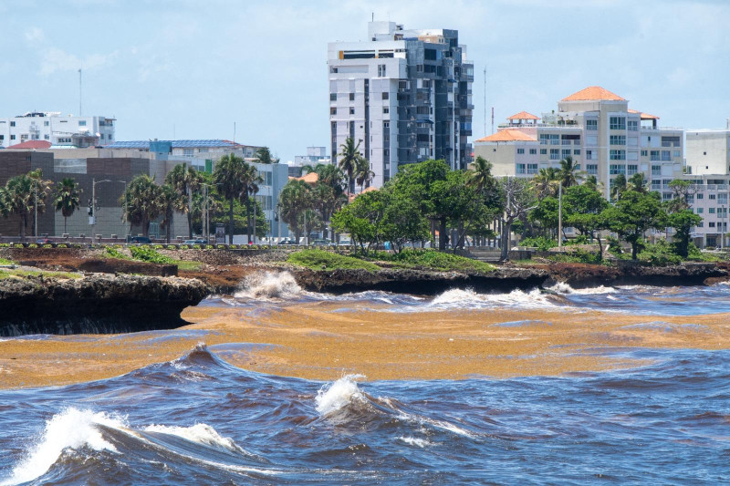 Panorámica del Malecón de Santo Domingo afectado por Sargazo