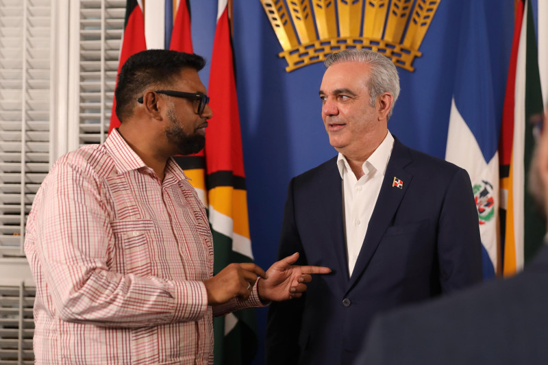 El presidente de Guyana, Mohamed Irfaan Ali, conversa con el presidente dominicano Luis Abinader, tras hablar temas estratégicos entre ambas naciones.