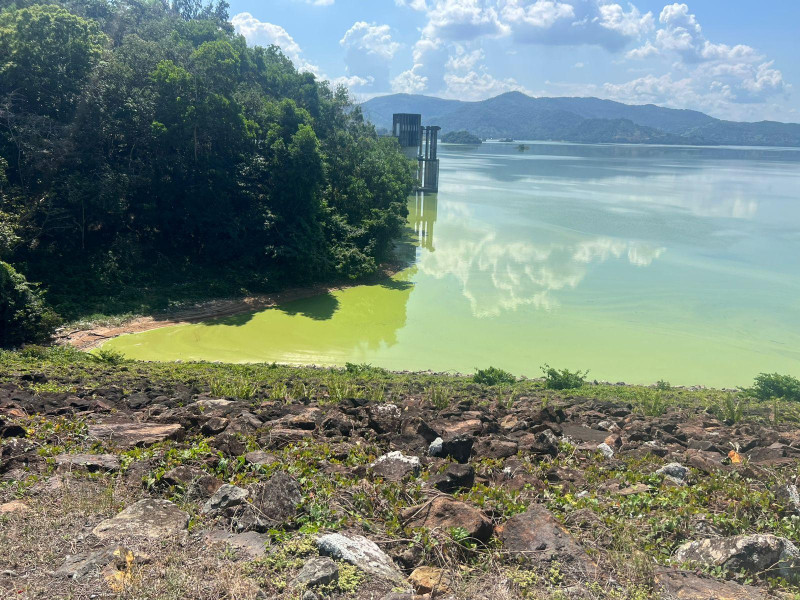Agua contaminada de la Presa de Hatillo afecta la pesca en Cotuí.