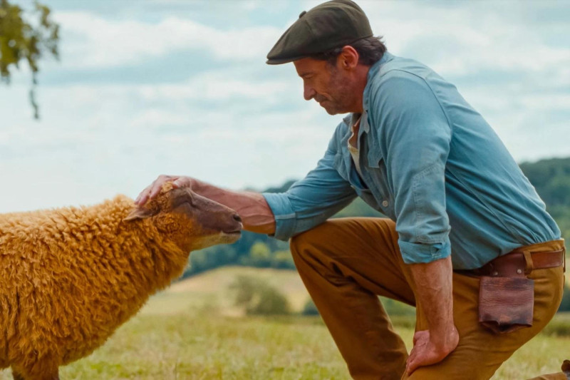 Hugh Jackman en su rol de George Hardy junto al personaje de la oveja Lily, con la voz de Julia Louis-Dreyfus, en una escena de la película "The Sheep Detectives".