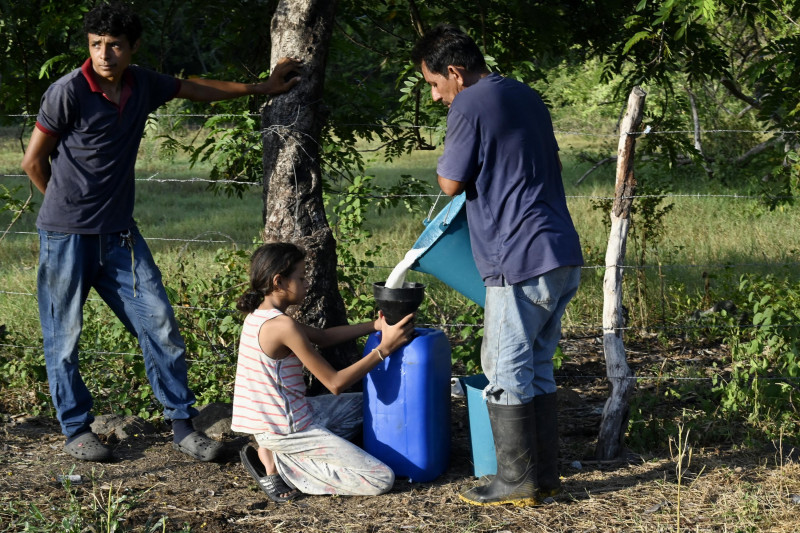 Darwin Cruz (derecha) vierte leche en un recipiente en la aldea de Los Piches, en San Lorenzo (departamento de Valle, Honduras), el 4 de septiembre de 2026.