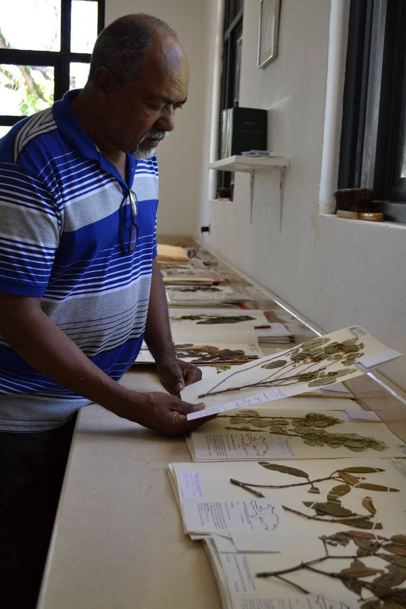 Teodoro Clase observa una muestra en el herbario del Jardín Botánico Nacional. 130,000 muestras de plantas de la Hispaniola están guardadas en este lugar, un sitio de incalculable valor para la ciencia.