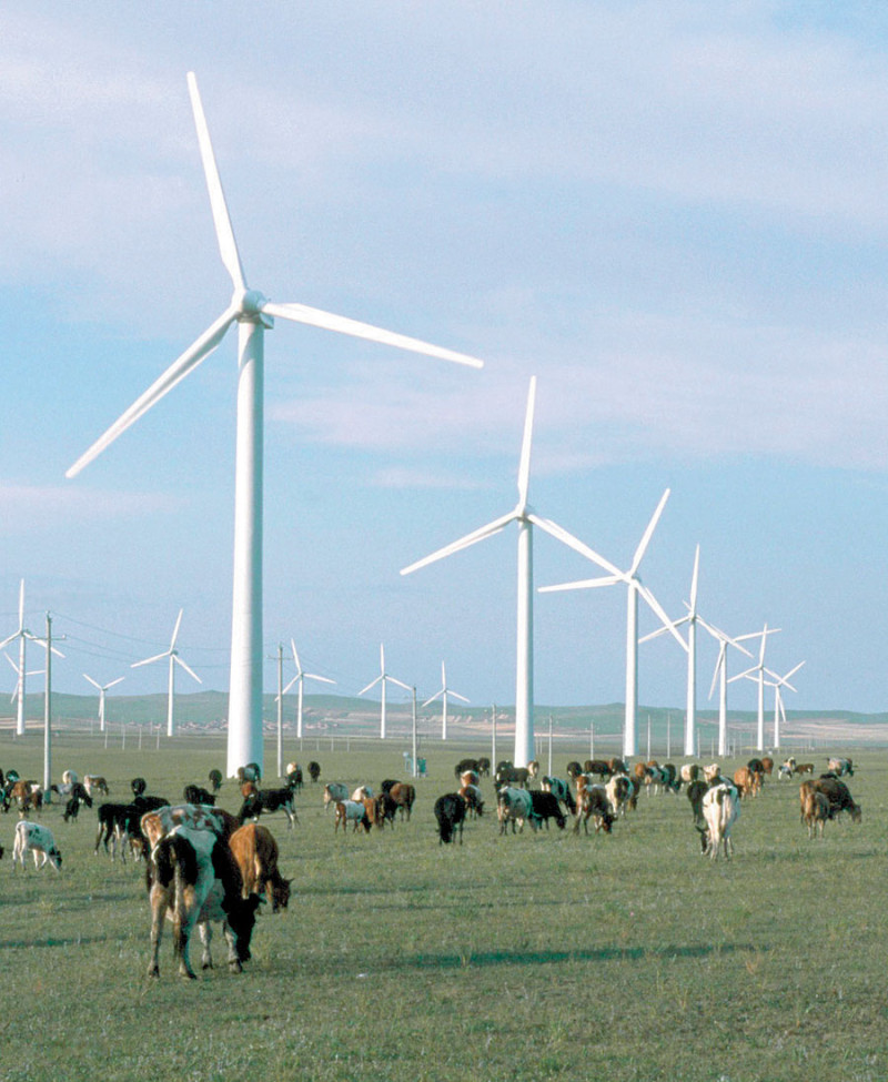 Energía eólica. Uno de los proyectos más grandes que se está ejecutando este año es un parque eólico en Enriquillo, Barahona.