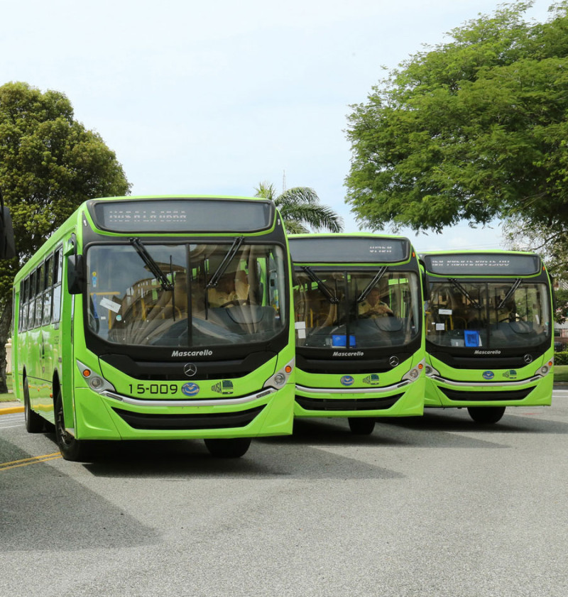 Servicio. Los nuevos autobuses de la OMSA transportarán 20 millones 280 mil pasajeros adicionales.