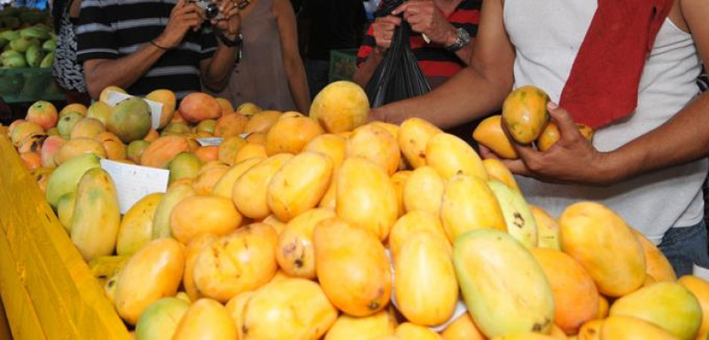 Demanda. El mango dominicano es uno de los principales productos más ausentes en Estados Unidos.