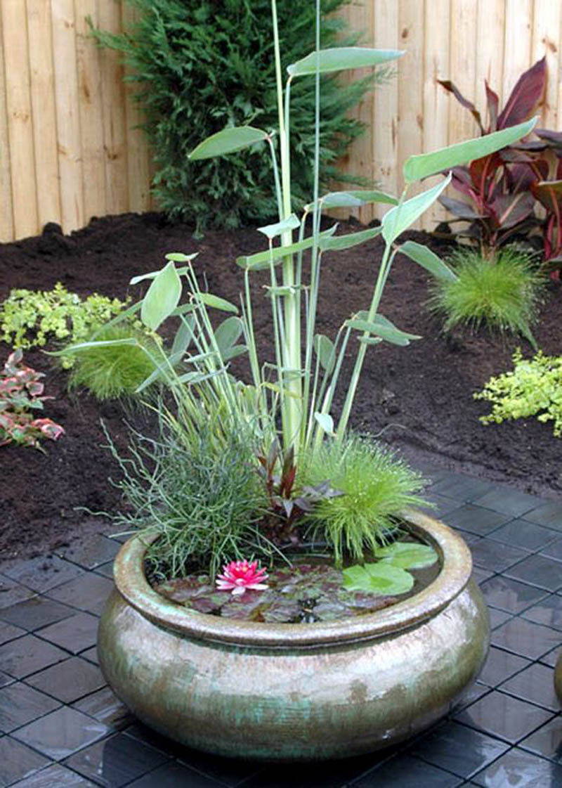 Con las plantas bien distribuidas, la maceta hasta podría convertirse en un coqueto, romántico e inspirador estanque en miniatura.