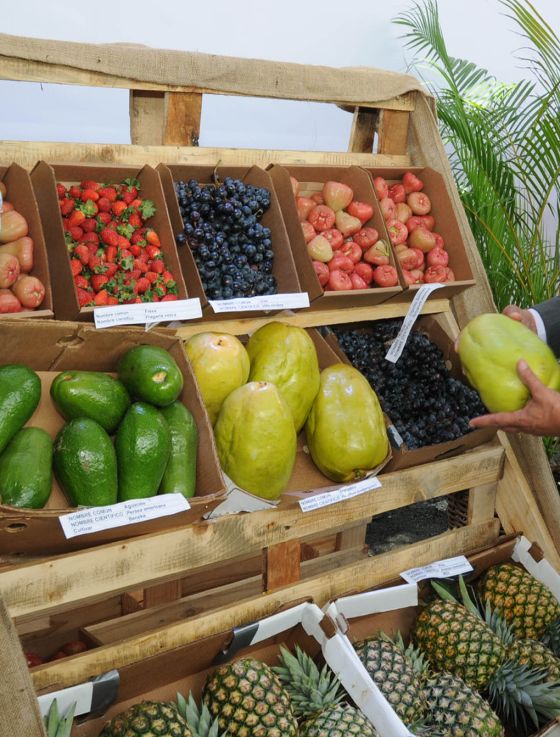 El ministro de Agricultura incentiva al consumo de frutas.