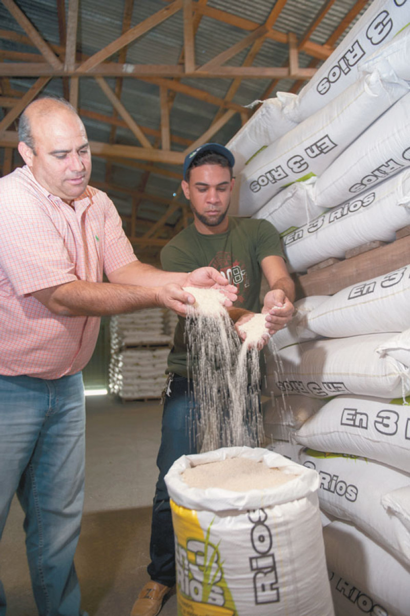 Postura. Los arroceros del nordeste califican la versión de arroz plástico a campaña negativa contra arroz 3 Ríos.