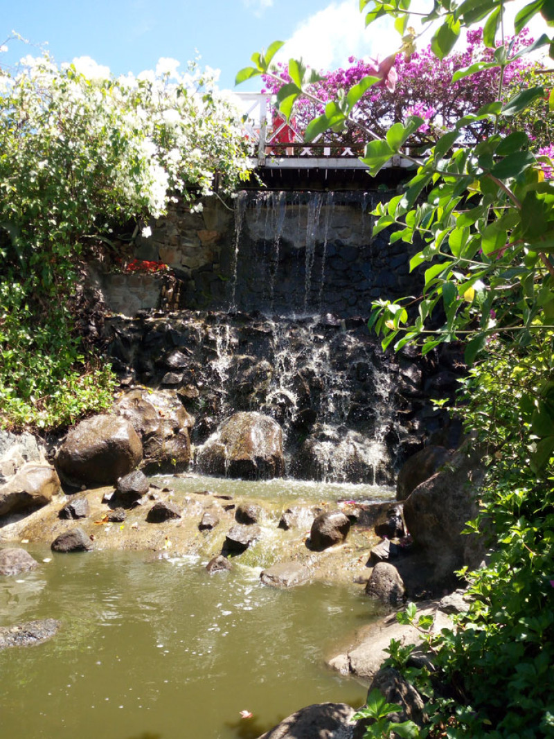 Cascada. El agua susurrante y las flores son parte de la naturaleza que rodea la residencia en Morne Fortune.