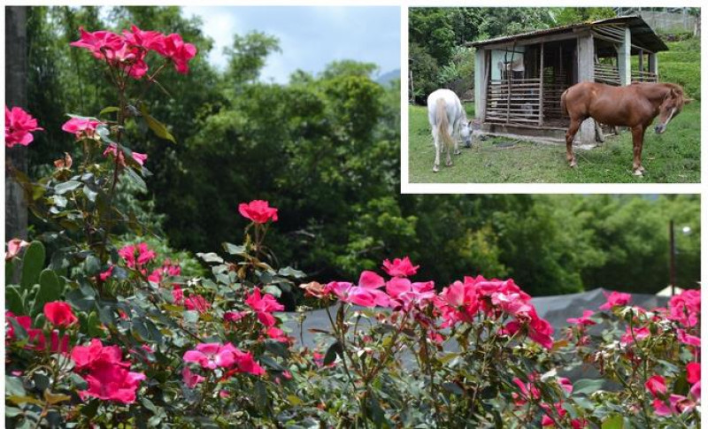 Blanco es una sección del distrito municipal La Salvia-Los Quemados (municipio de Bonao).  El complejo se encuentra en el paraje El Cruce de Blanco, sector Hoyo del Pino.  Yaniris López