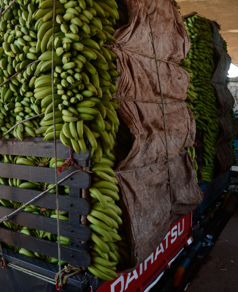 Camiones. Ayer los cargamentos de banano llegaban al mercado de la Duarte para abastecer a los vendedores del lugar.