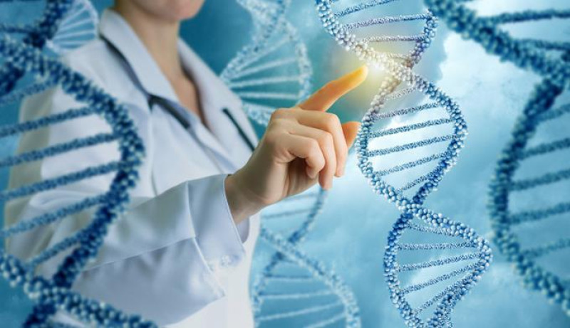 Previsión. Se anticipa que este año se pondrá a prueba en el laboratorio la técnica para edición genética llamada CRISPR.