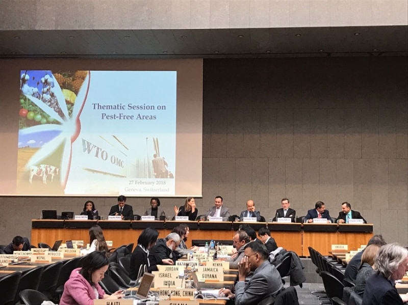 Representantes de países participantes en la septuagésima primera Reunión Ordinaria del Comité de Medidas Sanitarias y Fitosanitarias de la OMC.
