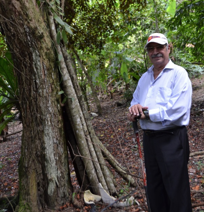 Don Máximo compró la propiedad hace 30 años. Las plantas exóticas y nativas crecen allí desde hace 20. Es una de sus grandes pasiones, le dijo a Listín Diario. Yaniris López/LD