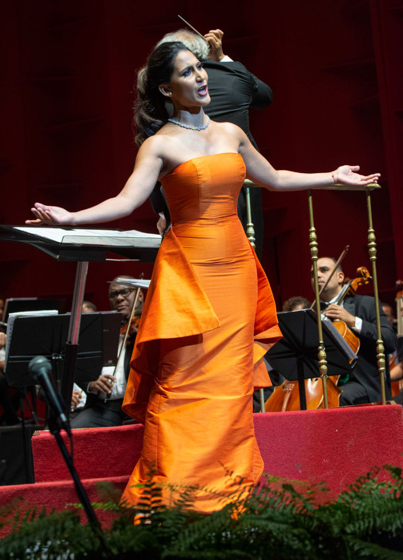 Nathalie Peña-Comas en su actuación la noche de este miércoles en el Teatro Nacional. FOTO: DAVID SOTO