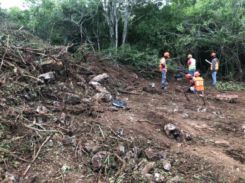 El Parque Nacional Cotubanamá es un área protegida de valor natural y arqueológico. ©Grupo Jaragua
