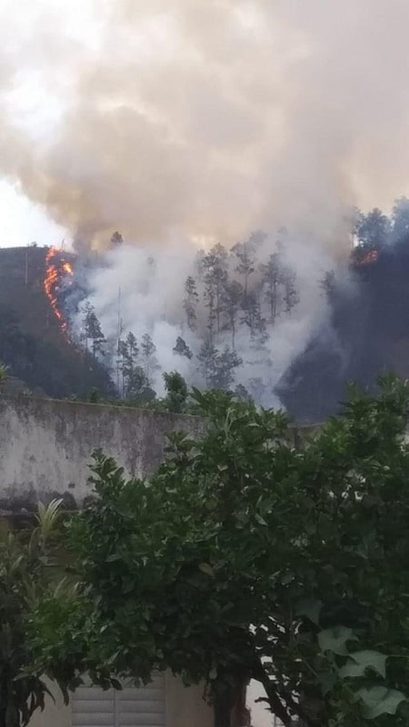 Incendio forestal en Constanza, La Vega. /  Foto: Audrey Sanchez